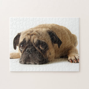 Sad Pug Jigsaw Puzzle