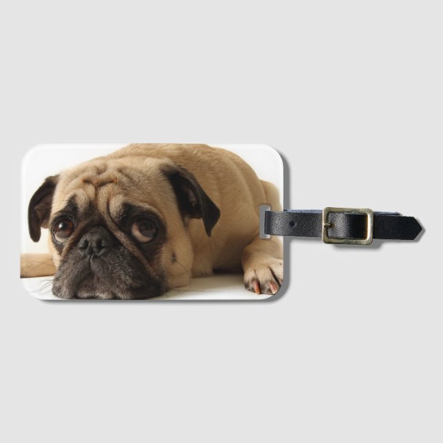 Sad Pug Luggage Tag (Front Horizontal)