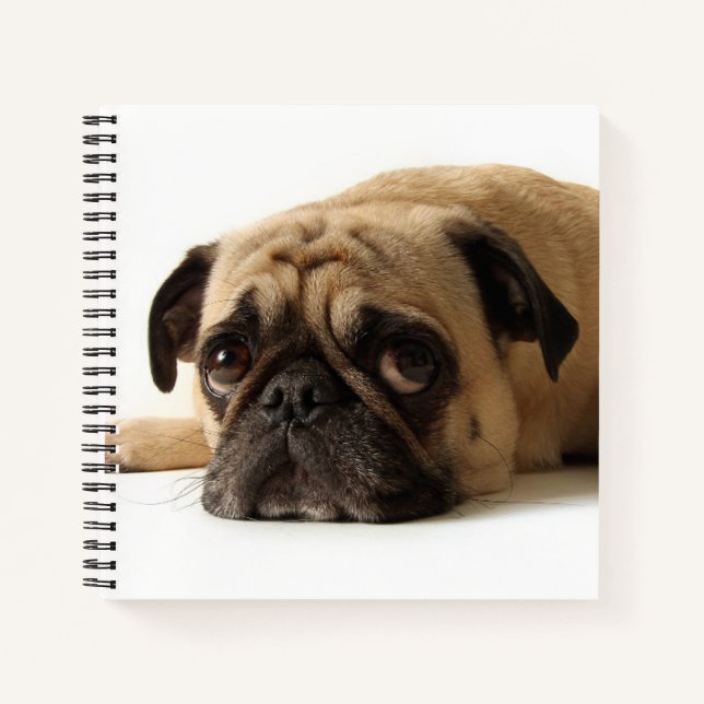 Sad Pug Notebook (Front)