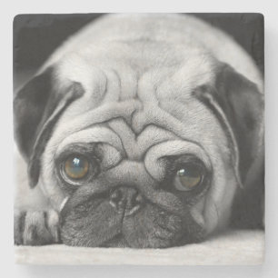 Sad Pug Stone Coaster