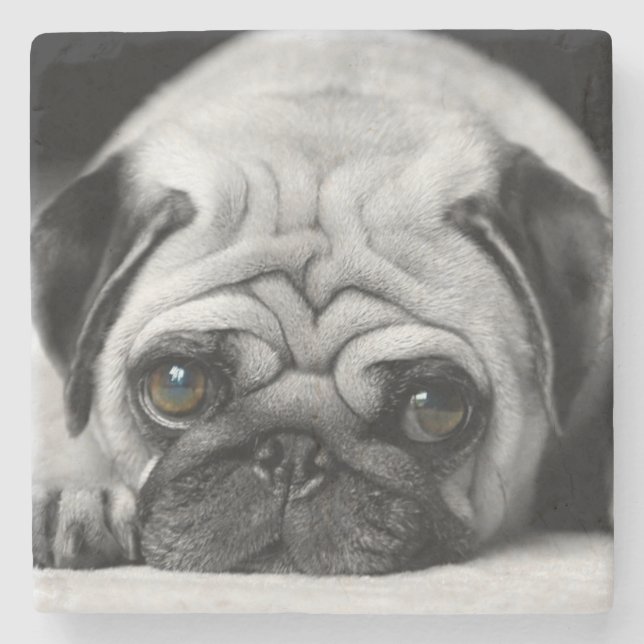 Sad Pug Stone Coaster (Front)