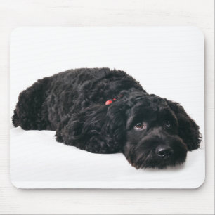 Sad puppy mouse pad