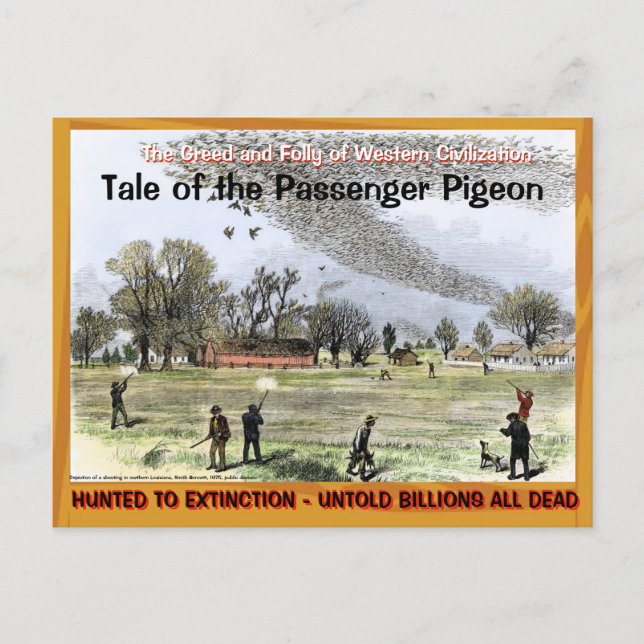 Sad Sad Tale of the Passenger Pigeon --~ Postcard (Front)