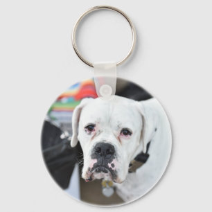 Sad White Boxer Key Ring