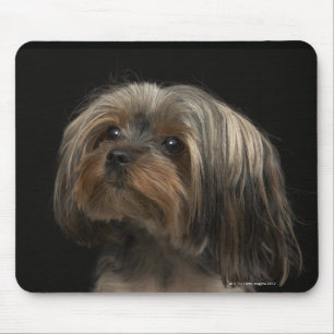 Sad yorking face looking to the left mouse pad