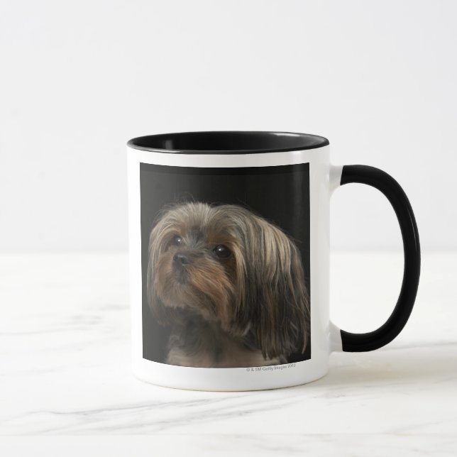 Sad yorking face looking to the left mug (Right)