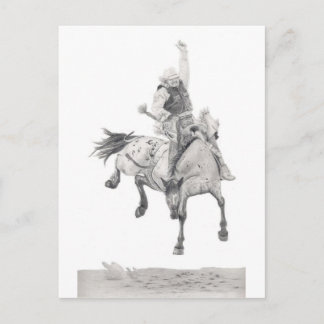 Saddle Bronc Postcard