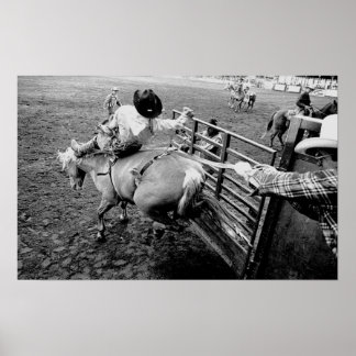 Saddle Bronc Rider, a black and white print