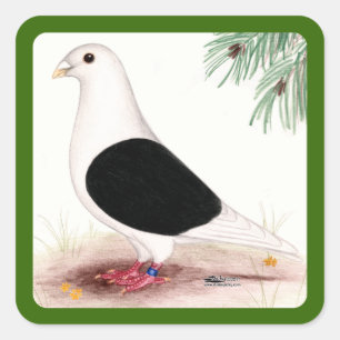 Saddle Homer Pigeon Square Sticker