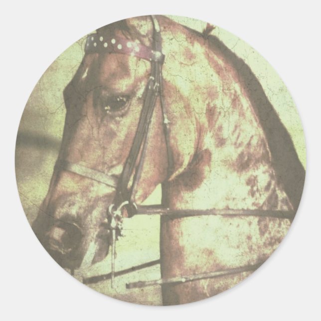 Saddlebred Horse Classic Round Sticker (Front)