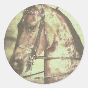 Saddlebred Horse Classic Round Sticker