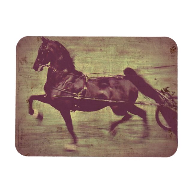Saddlebred Song Magnet (Horizontal)