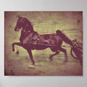 Saddlebred Song Poster