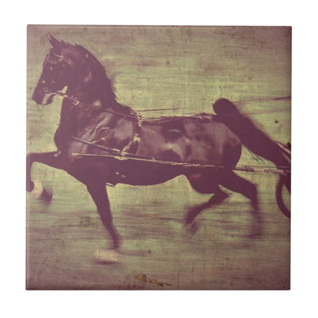 Saddlebred Song Tile (Front)