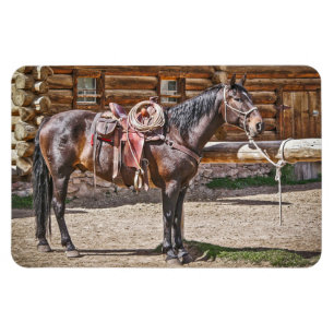 Saddled Horse Magnet