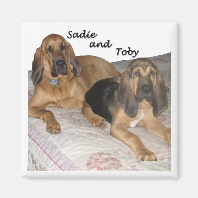 Sadie and Toby 1 Magnet (Front)