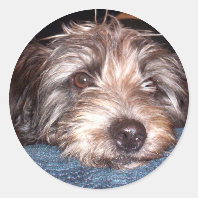 Sadie Classic Round Sticker (Front)