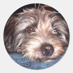 Sadie Classic Round Sticker