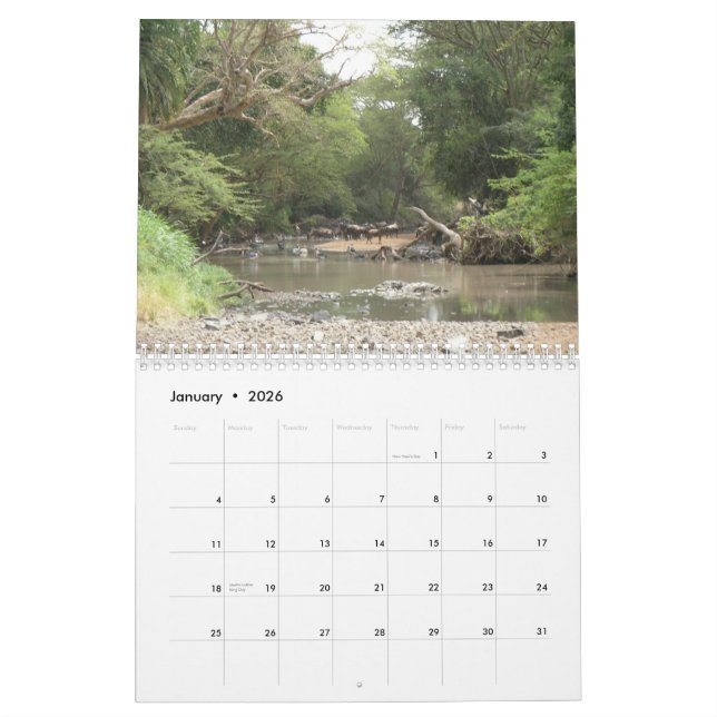 Safari 1 calendar (Jan 2026)