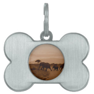 Safari Africa Cute Adorable Destiny Elephant Pet Name Tag