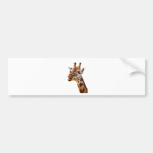 Safari Africa Jungle Giraffe Bumper Sticker