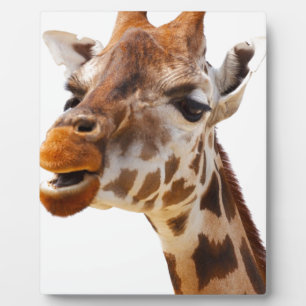 Safari Africa Jungle Giraffe Plaque
