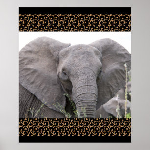 Safari Africa Mod Chic Classy  Destiny Elephant Poster
