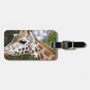 Safari Africa Mod Chic Classy Destiny Giraffe Luggage Tag