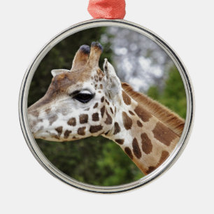 Safari Africa Mod Chic Classy  Destiny Giraffe Metal Tree Decoration