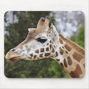 Safari Africa Mod Chic Classy Destiny Giraffe Mouse Pad