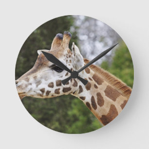 Safari Africa Mod Chic Classy Destiny Giraffe Round Clock