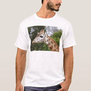 Safari Africa Mod Chic Classy Destiny Giraffe T-Shirt
