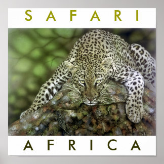 Safari Africa Poster