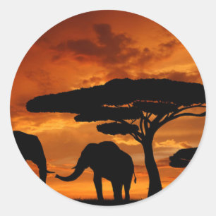 Safari African Baobab tree elephant silhouette Classic Round Sticker