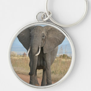 Safari African Jungle Destiny Animals Elephants Key Ring