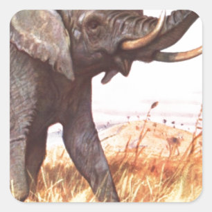 Safari African Jungle Destiny Animals Elephants Square Sticker
