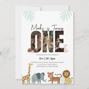 Safari Animal 1st Birthday  Invitation