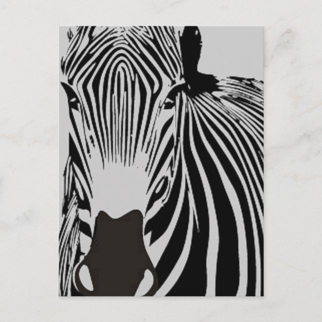 safari animal black and white stripes wild Zebra Postcard (Front)