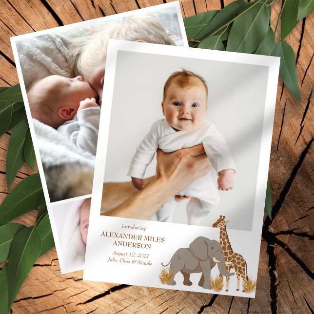 Safari Animals Photos New Baby Announcement (Creator Uploaded)