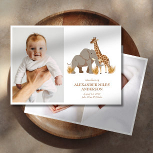 Safari Animals Photos New Baby Announcement
