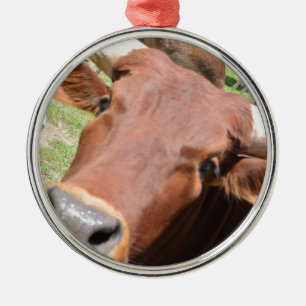 Safari Brown Cow Metal Ornament