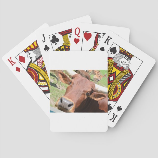 Safari Brown Cow Playing Cards (Back)