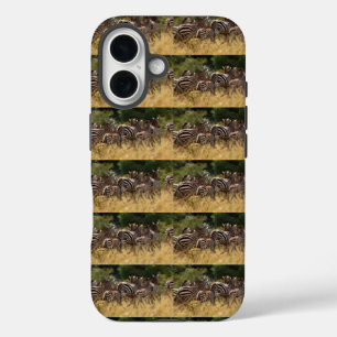 Safari Chic: African Zebra Stripes Print Patterned iPhone 16 Case