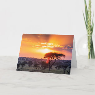 Safari in the Serengeti National Park Card