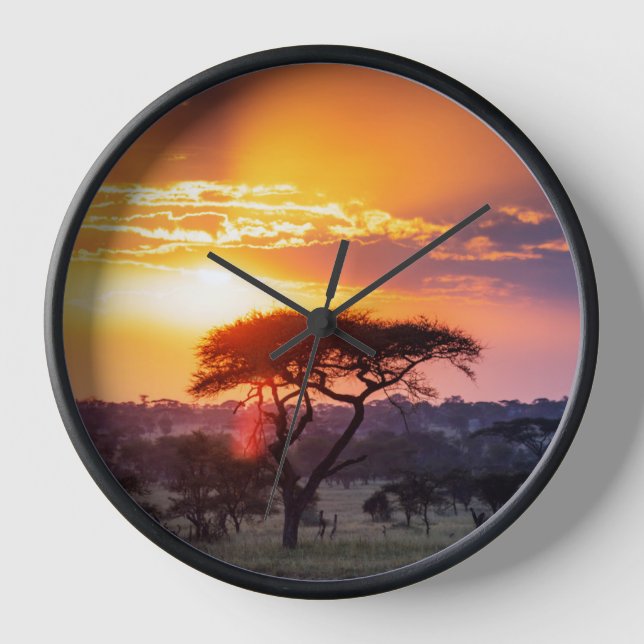 Safari in the Serengeti National Park Clock (Front)