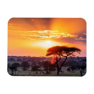 Safari in the Serengeti National Park Magnet