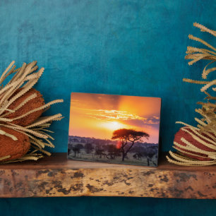 Safari in the Serengeti National Park Plaque