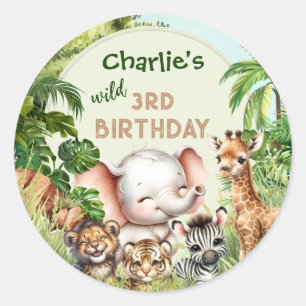 Safari Jungle ZOO Cute Animals Wild 3rd Birthday  Classic Round Sticker