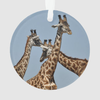 Safari Ornament 1