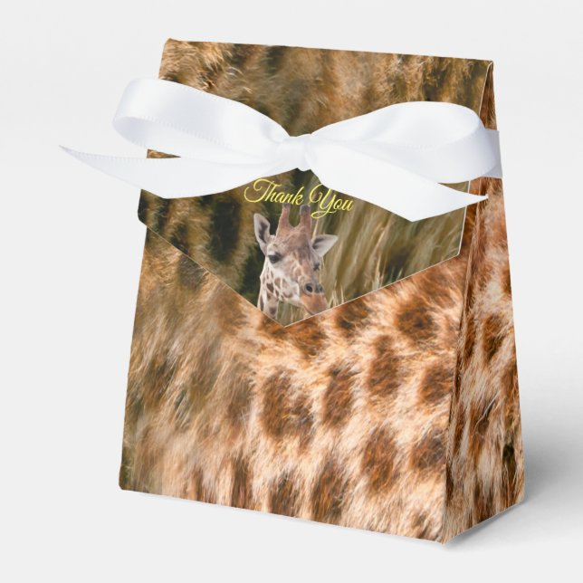 Safari Outdoor Favour Box (Front Side)